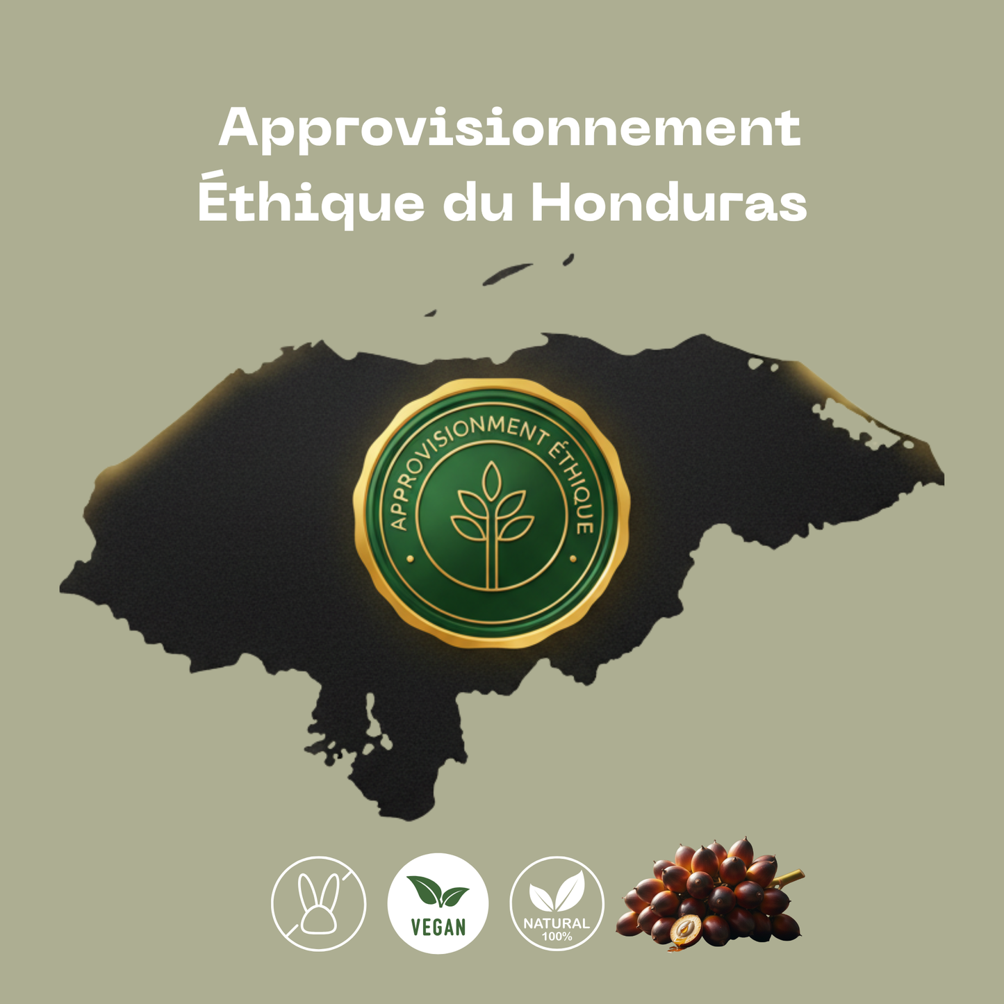 Huile de Batana pure – Pousse rapide et cheveux plus épais en 28 jours